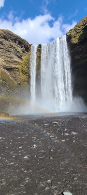 20240508_125051.jpg