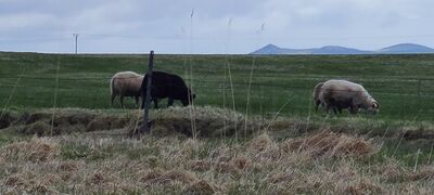 20240508_125530.jpg