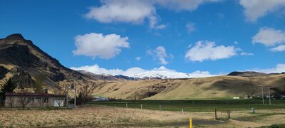 20240508_130118.jpg