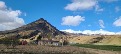 20240508_130130.jpg