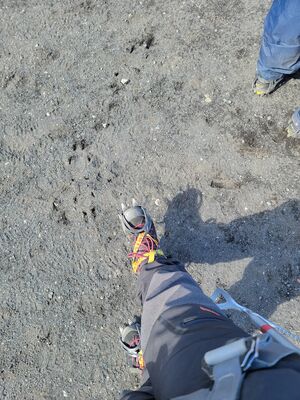 20240508_150210.jpg