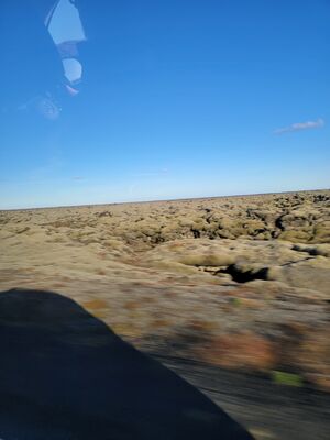 20240508_190145.jpg