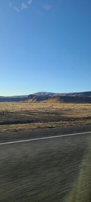 20240508_191958.jpg