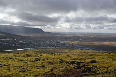DSC_0384.JPG