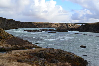 DSC_0389.JPG