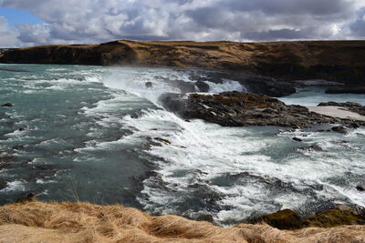 DSC_0391.JPG