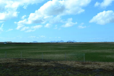 DSC_0396.JPG