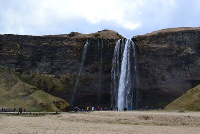 DSC_0398.JPG