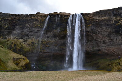 DSC_0401.JPG