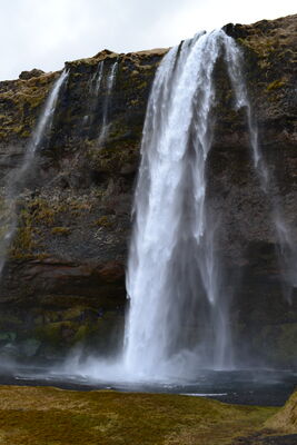 DSC_0402.JPG