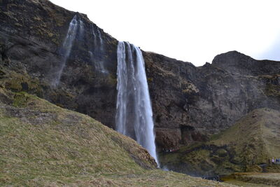 DSC_0405.JPG