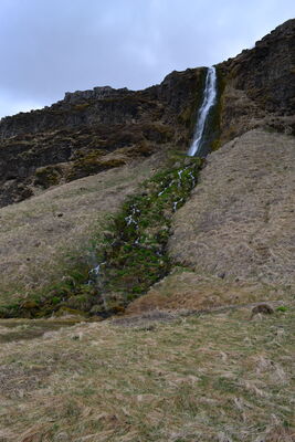 DSC_0406.JPG