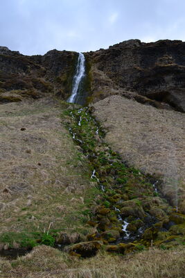 DSC_0407.JPG