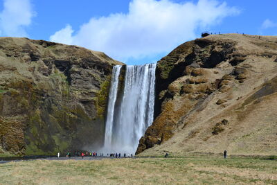 DSC_0417.JPG