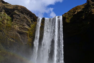 DSC_0420.JPG