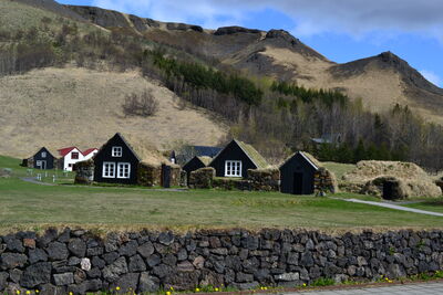 DSC_0425.JPG