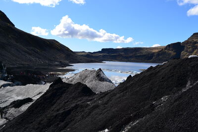 DSC_0447.JPG