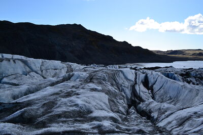 DSC_0461.JPG