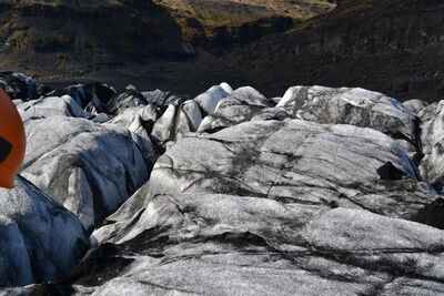 DSC_0466.JPG