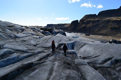 DSC_0476.JPG
