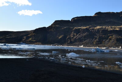 DSC_0495.JPG