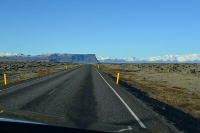 DSC_0501.JPG