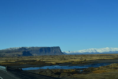 DSC_0503.JPG