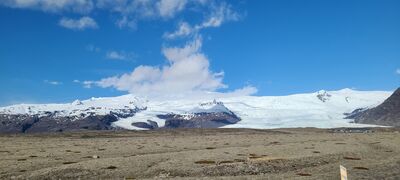 20240509_095451.jpg