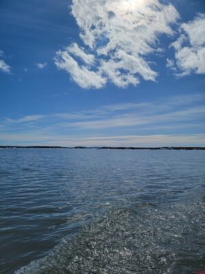20240509_112259.jpg