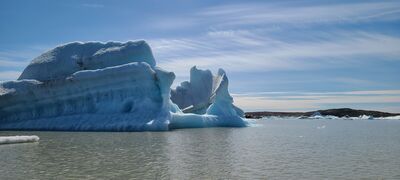 20240509_112817(0).jpg