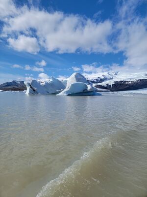 20240509_112847.jpg