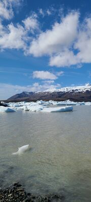 20240509_113347.jpg