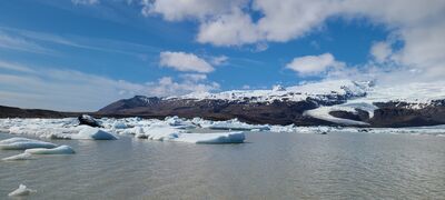 20240509_113350.jpg