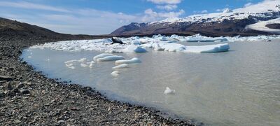 20240509_113430.jpg