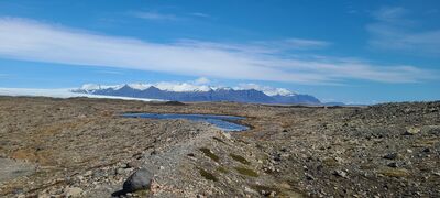 20240509_114219.jpg