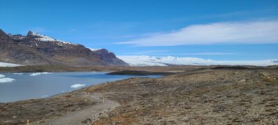 20240509_114404.jpg