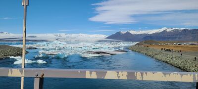 20240509_120513.jpg