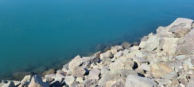 20240509_121258.jpg