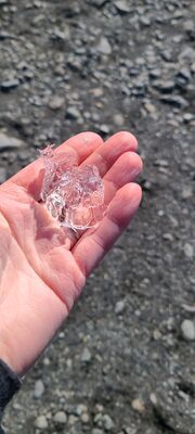 20240509_122716.jpg