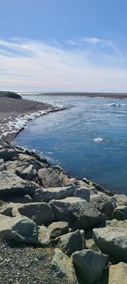 20240509_130159.jpg