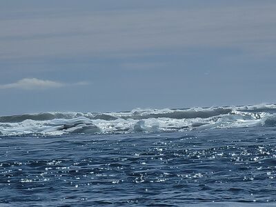 20240509_131124.jpg