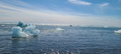 20240509_132404.jpg