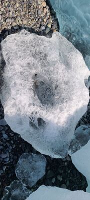 20240509_135817.jpg
