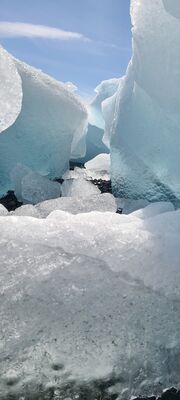 20240509_140145.jpg
