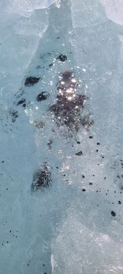 20240509_140422.jpg