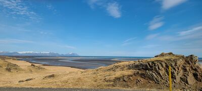 20240509_160305.jpg