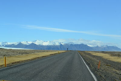 DSC_0512.JPG