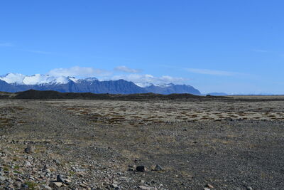 DSC_0516.JPG