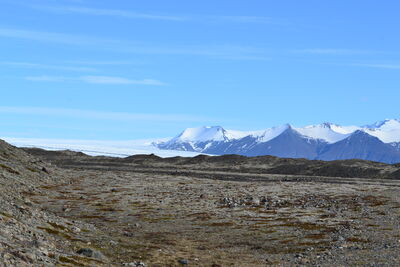 DSC_0518.JPG