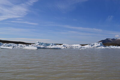 DSC_0524.JPG